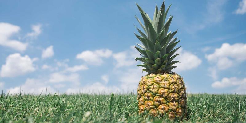 IT博客与技术社区：解锁网络技术优势的三大核心路径