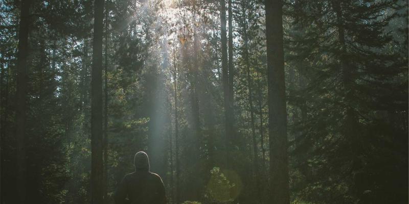 Wi-Fi 7核心技术解析：多链路操作与确定性延迟如何重塑企业网络开发环境