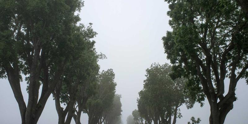 eBPF技术原理深度解析：如何为技术社区构建内核级网络可观测性与安全