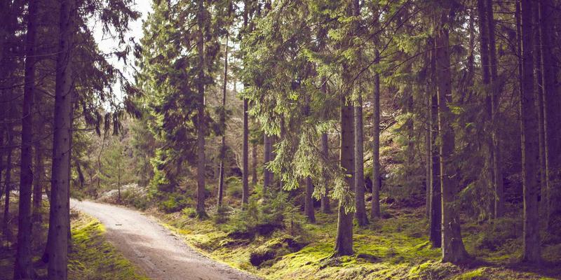 云原生网络服务网格深度解析：Istio流量管理策略与安全策略的落地实践 | IT博客与数字资源分享