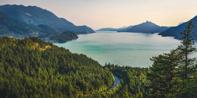 从编程教程到技术社区：构建你的IT学习生态系统