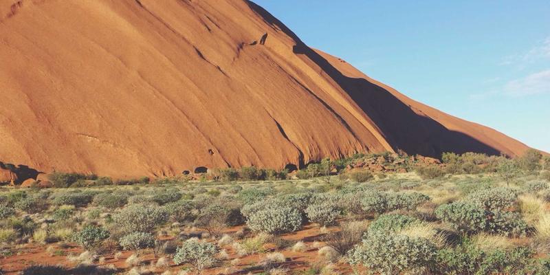 基于意图的网络(IBN)原理与实践：从策略声明到自动化执行的闭环