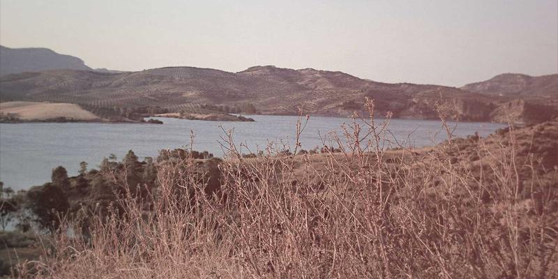 基于意图的网络实战指南：从开发工具到数字资源，实现网络自愈与自动化