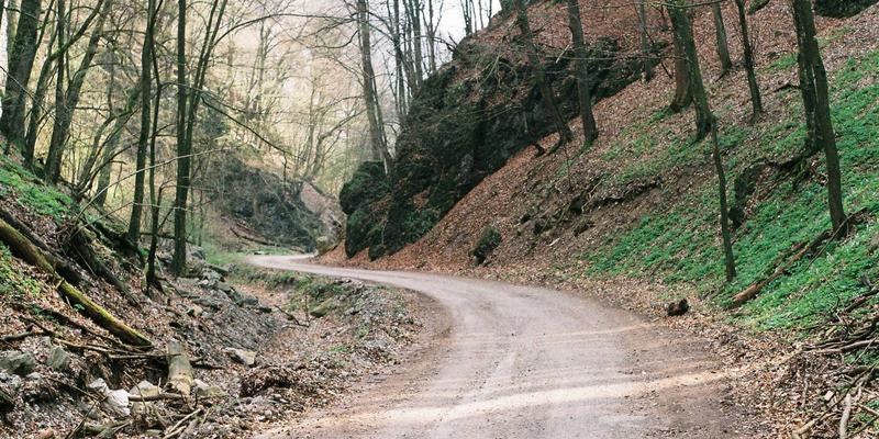 技术社区必读：400G/800G高速以太网技术解析与数据中心网络升级实战指南
