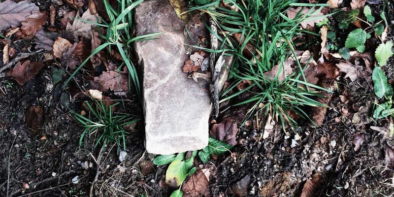 网络功能即服务(NFaaS)：解锁数字资源与网络技术的云端弹性革命