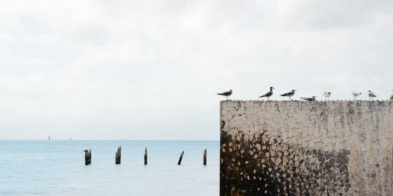 网络性能监控(NPM)工具选型指南与最佳实践：为技术社区开发者赋能