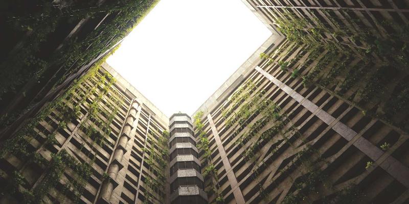 网络技术34：开发者必备的资源分享平台与高效工具指南