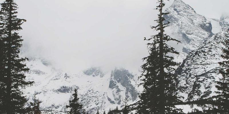 网络技术52：精选开发工具与编程教程的IT博客全攻略