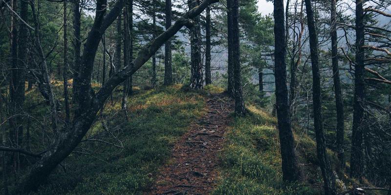 网络技术82：资源分享、IT博客与技术社区的协同进化之路