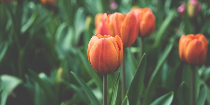 边缘计算网络架构设计：解锁低延迟与本地化数据处理的数字资源宝库